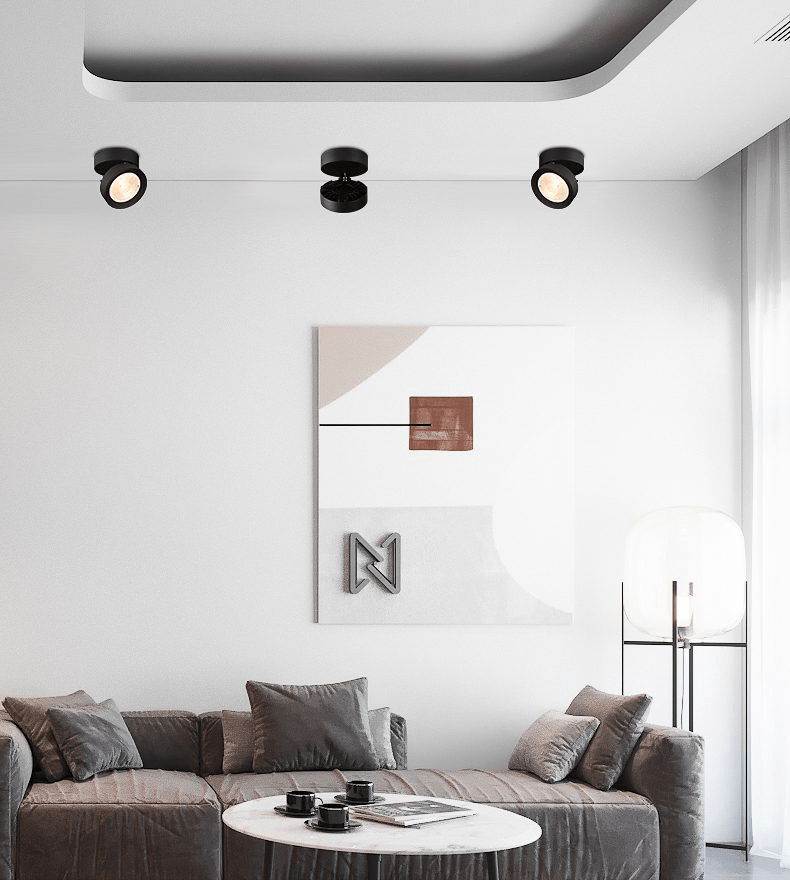 Adjustable Ceiling Light Metal Rotating LED Indoor Lighting 3