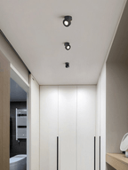 Adjustable Ceiling Light Metal Rotating LED Indoor Lighting 4