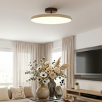 Adjustable LED Ceiling Lamp - Modern Circular Flush Ceiling Light Fixture for Customizable Home Ambiance 89