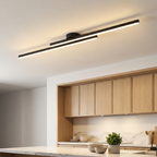 Black Metal LED Flush Mount Ceiling Light Dual Strip Adjustable Color Temperature Kitchen Hallway Home Decor - Stack & Clear 0