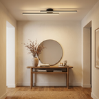 Black Metal LED Flush Mount Ceiling Light Dual Strip Adjustable Color Temperature Kitchen Hallway Home Decor - Stack & Clear 2