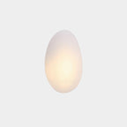 Bubble Glass Dimmable Wall Sconce Metal Finish Indoor Light 0