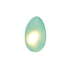 Bubble Glass Dimmable Wall Sconce Metal Finish Indoor Light 12