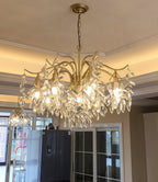Designer Chandelier Crystal Brass Unique Indoor Illumination 7
