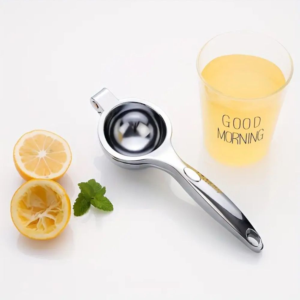 Elegant Stainless Steel Citrus Juicer Silver 1