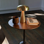 Elegant Wireless Table Lamp with Touch Controls – Battery Operated Metal and Acrylic Design for Bedside or Desk Use 2