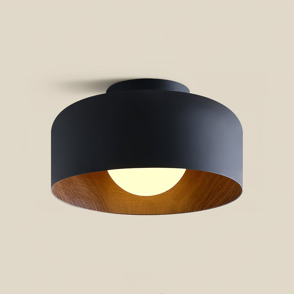 Modern Ceiling Light Glass Globe Natural Finish 0