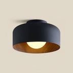 Modern Ceiling Light Glass Globe Natural Finish 0