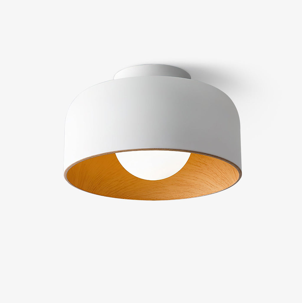 Modern Ceiling Light Glass Globe Natural Finish 1