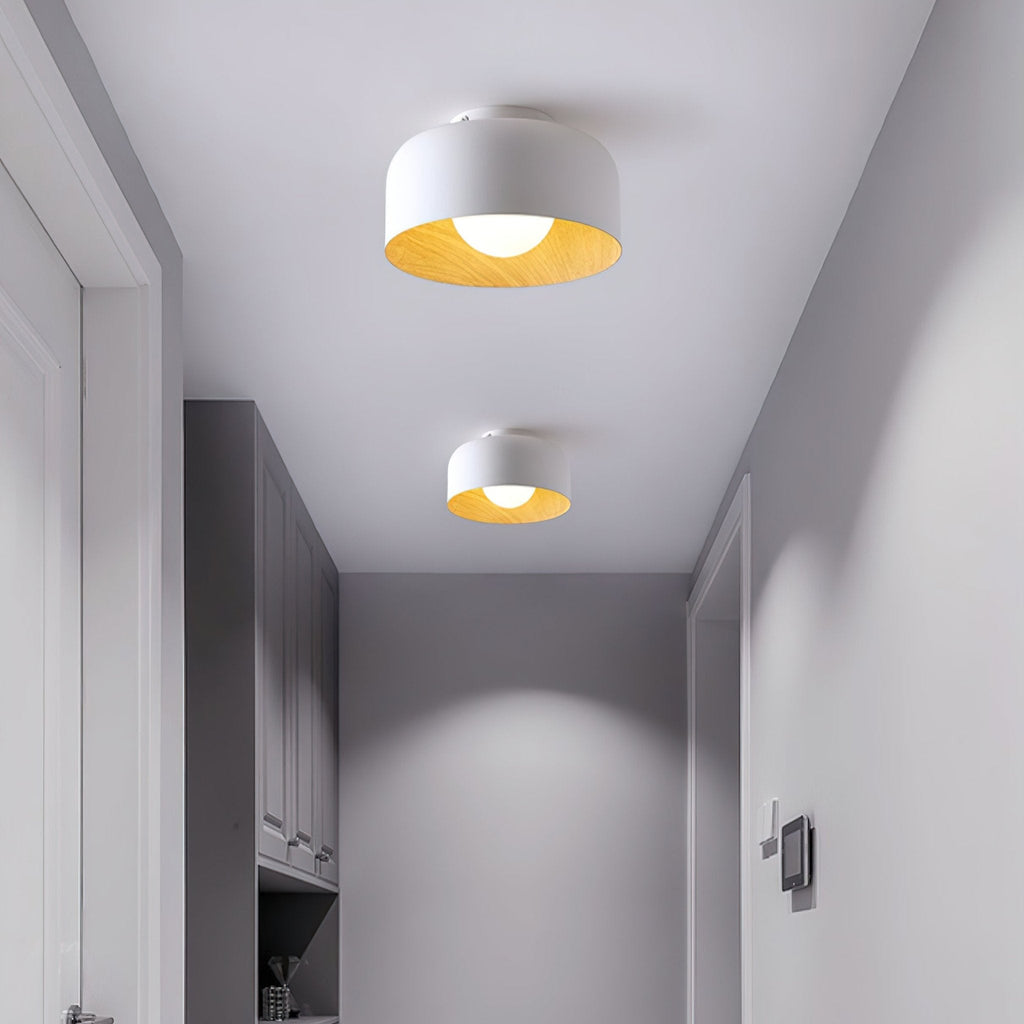 Modern Ceiling Light Glass Globe Natural Finish 4