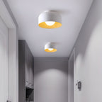 Modern Ceiling Light Glass Globe Natural Finish 4