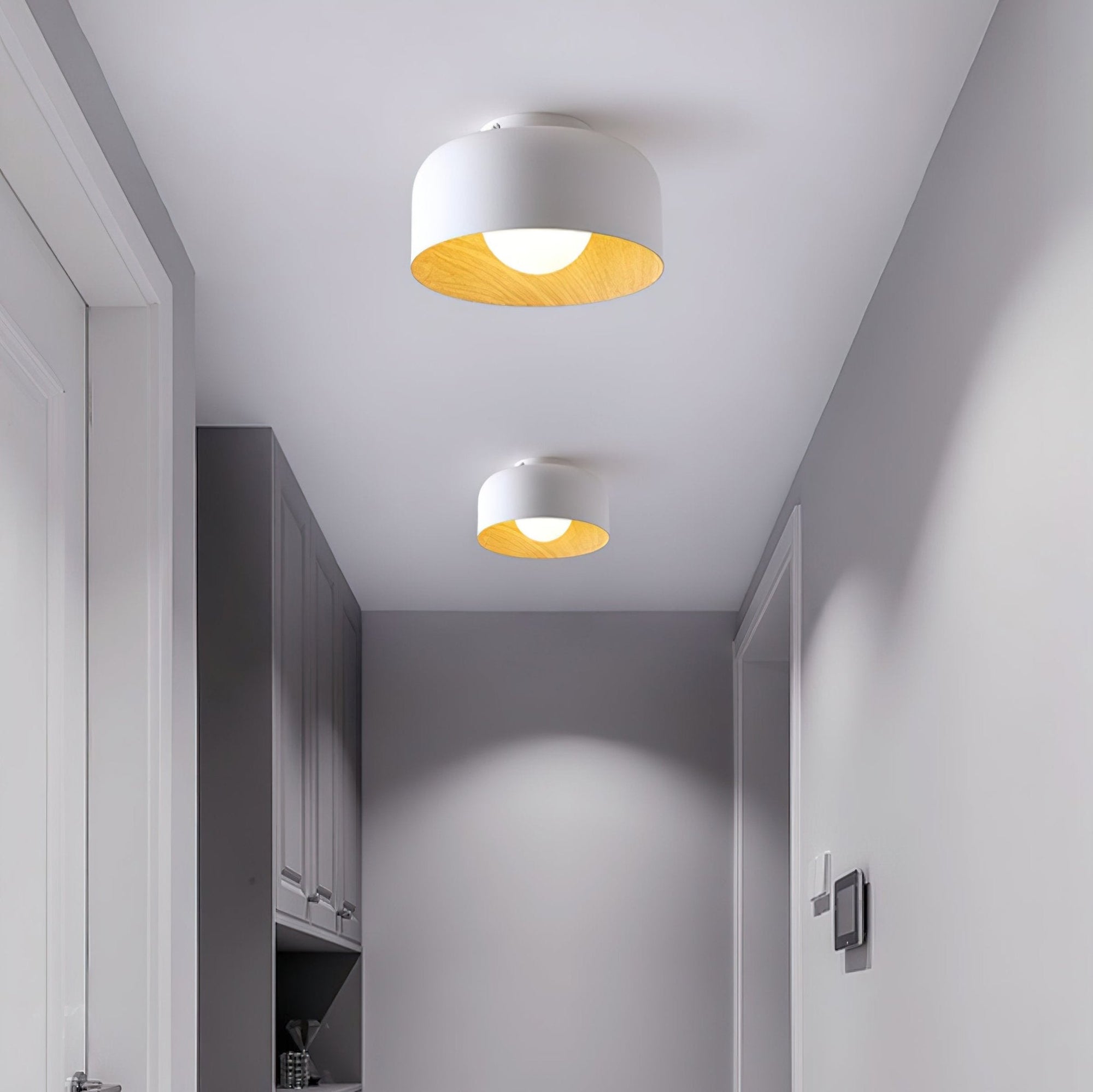 Modern Ceiling Light Glass Globe Natural Finish 4