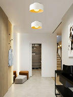Modern Ceiling Light Glass Globe Natural Finish 6