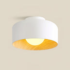 Modern Ceiling Light Glass Globe Natural Finish 9