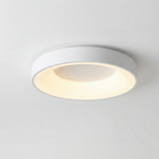 Modern LED Flush Mount Ceiling Light Fixture – Colorful Minimalist Design 24