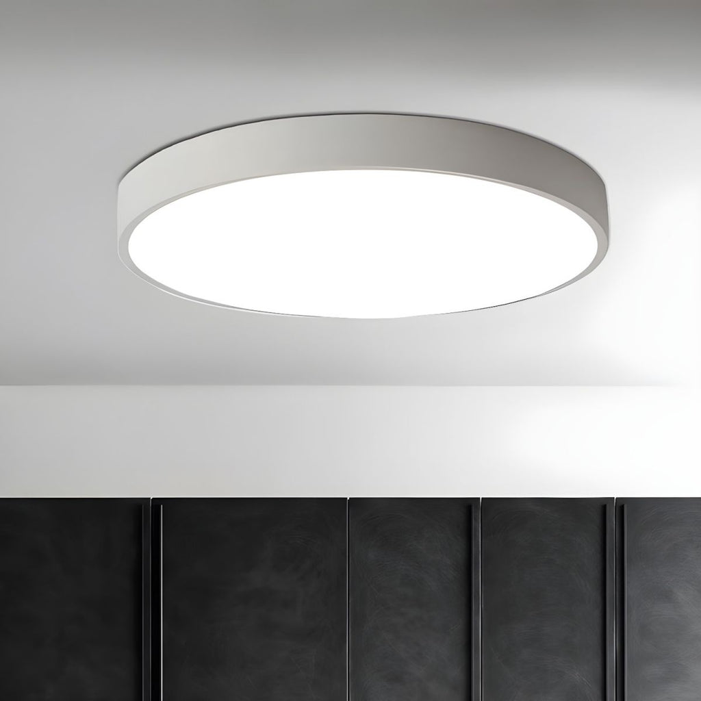 Minimalist Ceiling Light Metal Acrylic Adjustable Height 6
