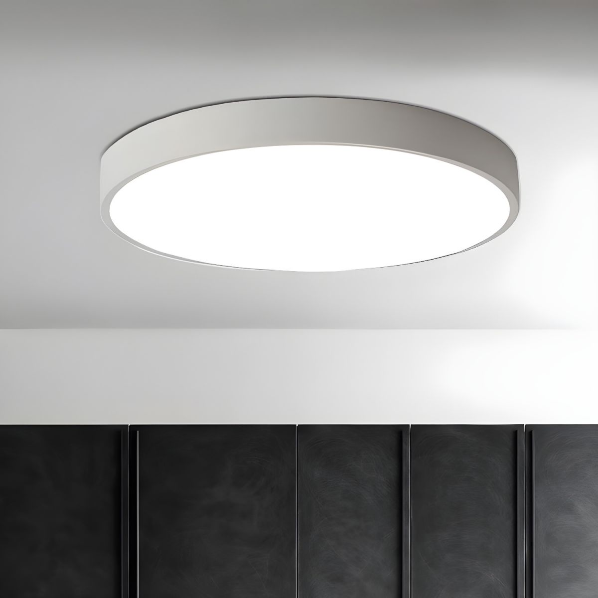 Minimalist Ceiling Light Metal Acrylic Adjustable Height 6