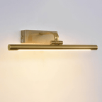 Modern Adjustable LED Wall Sconce in Brass Finish 0