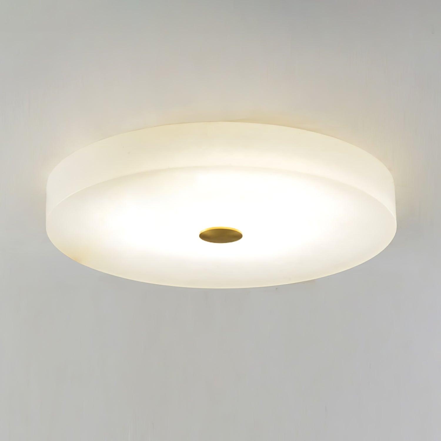 Modern Ceiling Light Alabaster Integrated LED Dimmable 5