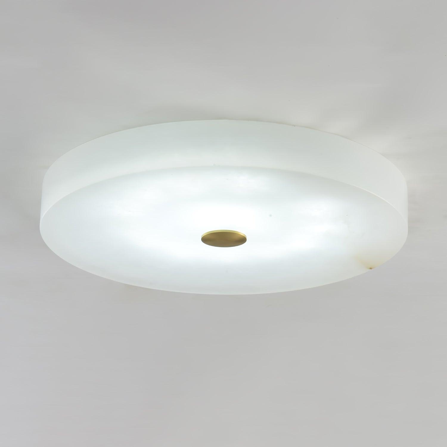 Modern Ceiling Light Alabaster Integrated LED Dimmable 8