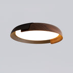 Modern Ceiling Light Metal Acrylic Dimmable Design 11