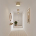 Modern Ceiling Light Resin Acrylic Stylish Dimmable Design 3