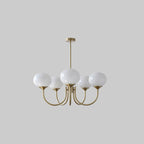 Modern Chandelier Glass Shades Gold Finish Adjustable Height 14