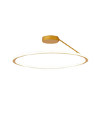 Modern Flush Mount Ceiling Light Fixture – Elegant Halo Design for Ambient Illumination 1