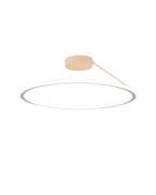 Modern Flush Mount Ceiling Light Fixture – Elegant Halo Design for Ambient Illumination 2