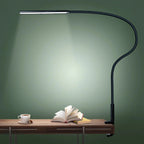 Modern Gooseneck Desk Lamp with USB Power - Silver 1
