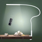 Modern Gooseneck Desk Lamp with USB Power - Silver 5