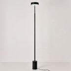 Modern LED Floor Lamp with Adjustable Color Temperature - 55.91 Minimalist Standing Lamp 0