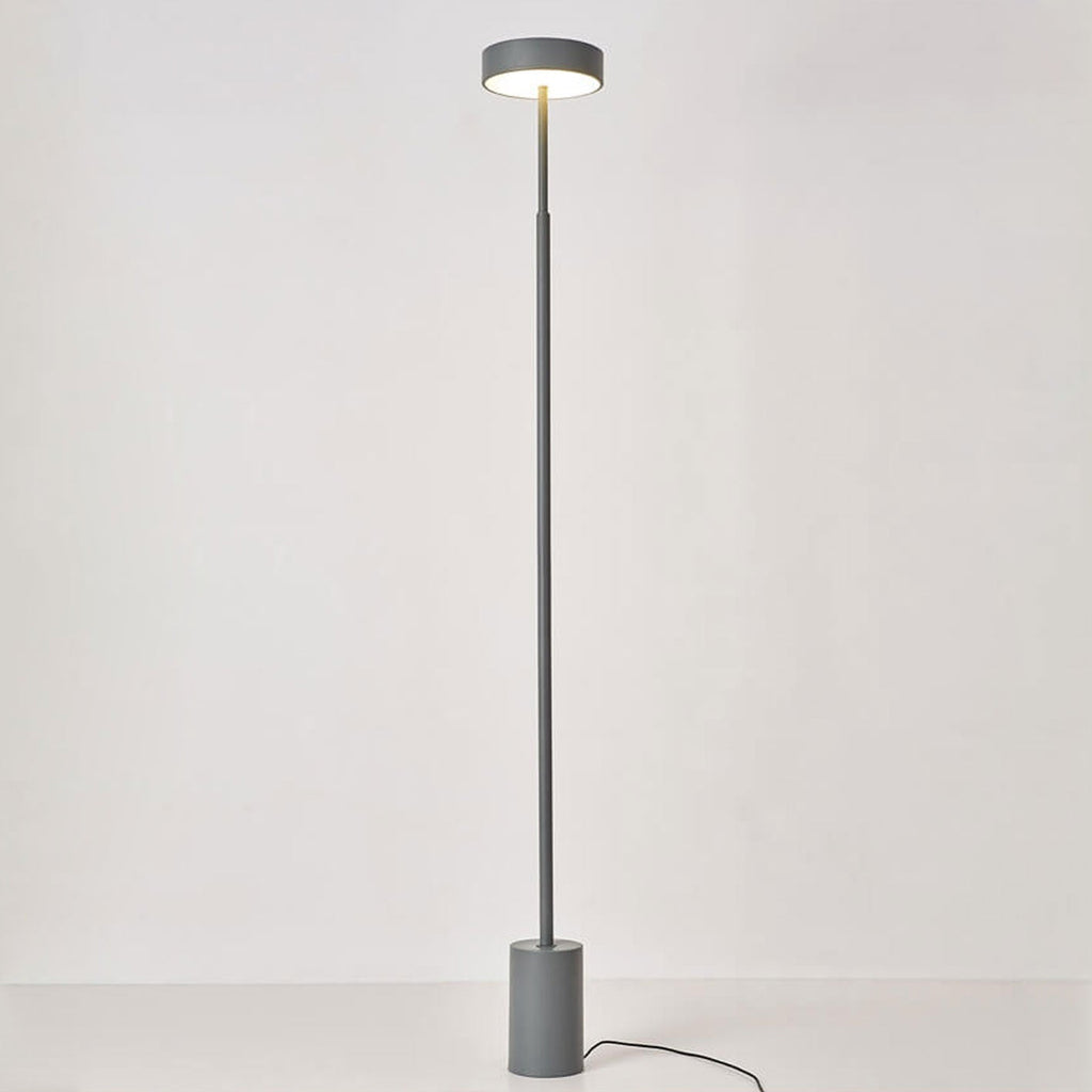 Modern LED Floor Lamp with Adjustable Color Temperature - 55.91 Minimalist Standing Lamp 3
