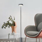 Modern LED Floor Lamp with Adjustable Color Temperature - 55.91 Minimalist Standing Lamp 9