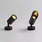 Modern Outdoor Path Light Stainless Steel Directional LED 5