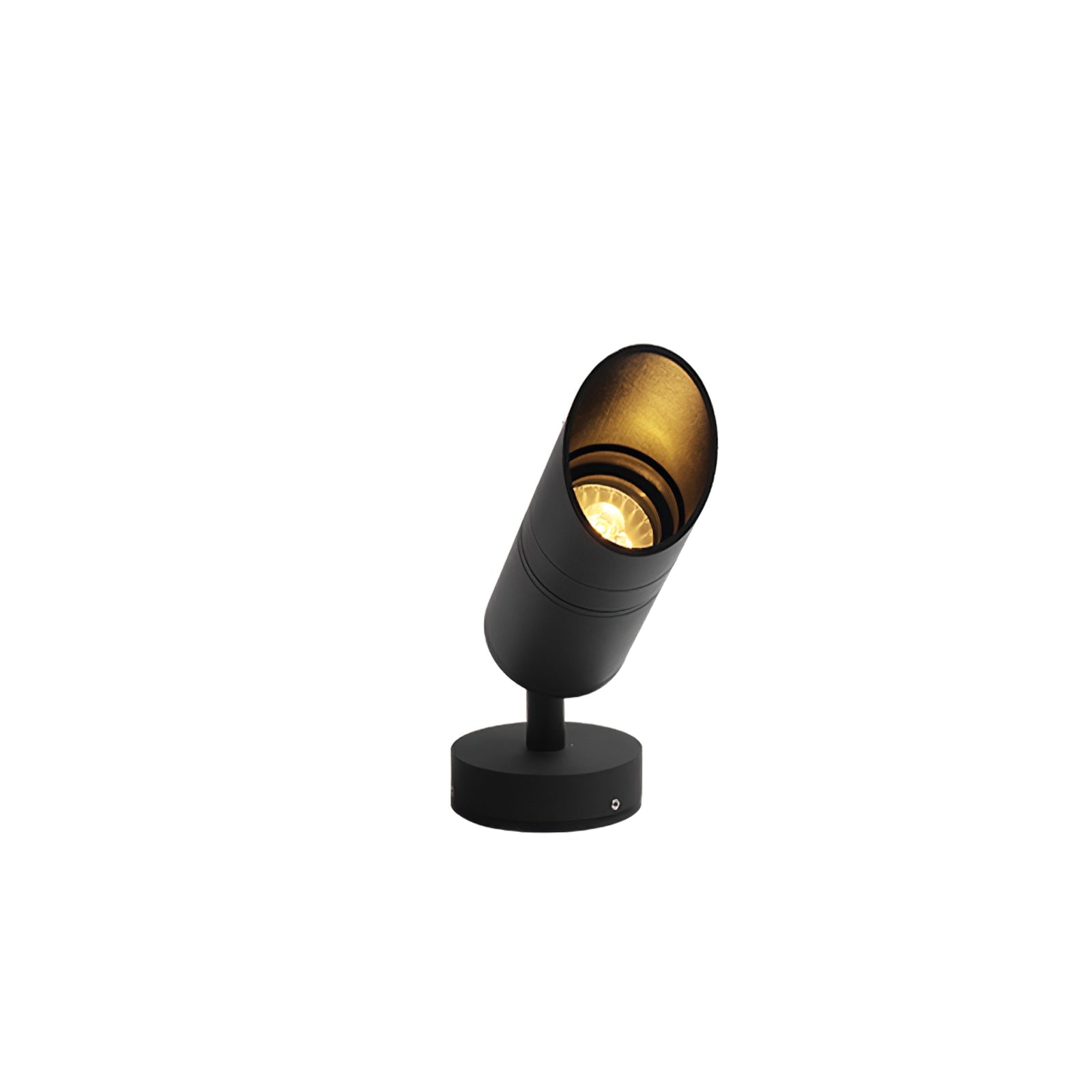 Modern Outdoor Path Light Stainless Steel Directional LED 9
