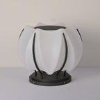 Modern Solar Outdoor Lantern Stainless Steel Waterproof 8