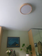 Natural Wood Flush Mount Ceiling Light Round Frosted Acrylic Dimmable Scandinavian Living Room Kitchen Home Decor - Stack & Clear 6