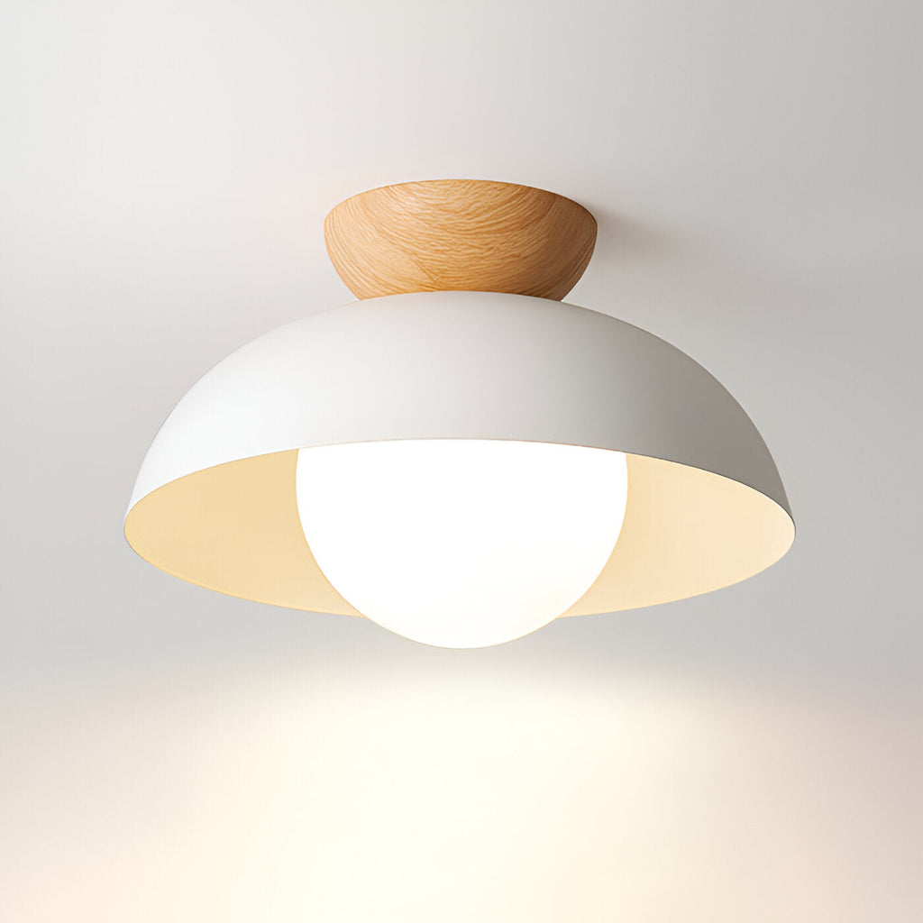 Nordic Minimalist Flush Mount Ceiling Light Fixture with Glass Shade - LED Compatible 1