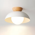 Nordic Minimalist Flush Mount Ceiling Light Fixture with Glass Shade - LED Compatible 1
