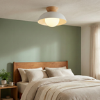 Nordic Minimalist Flush Mount Ceiling Light Fixture with Glass Shade - LED Compatible 10