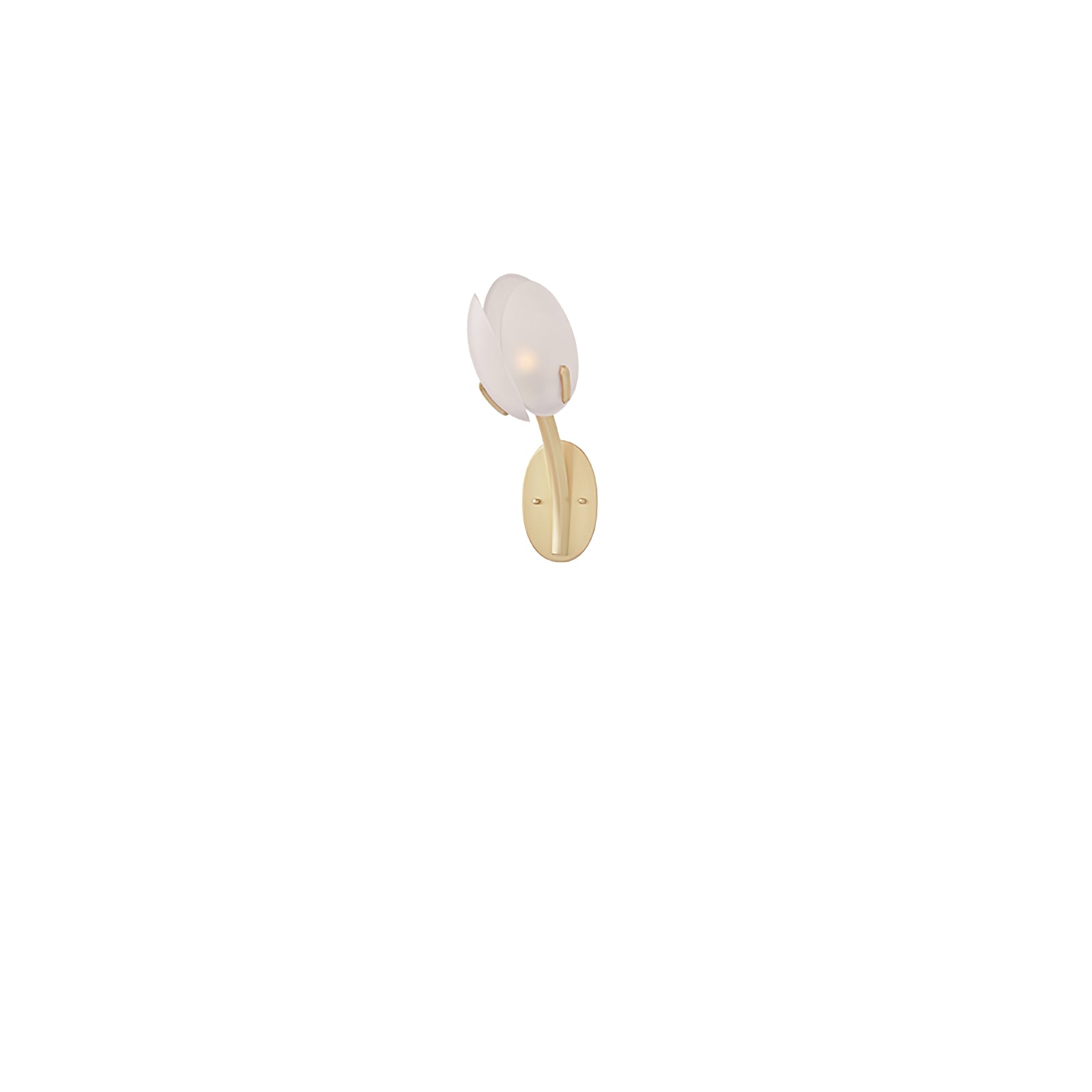 Organic Blush Pink Glass Wall Sconce With Gold Finish 0