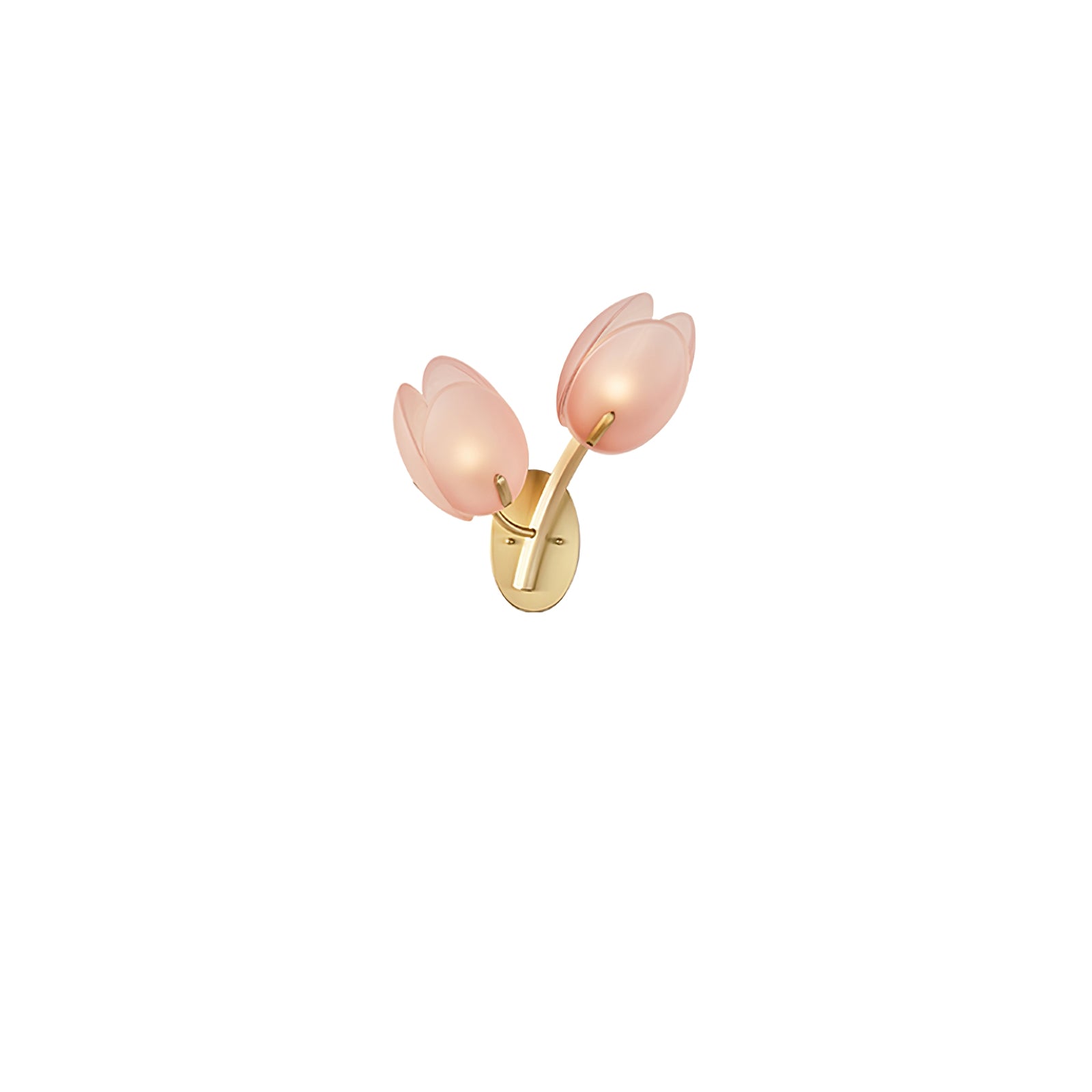 Organic Blush Pink Glass Wall Sconce With Gold Finish 10