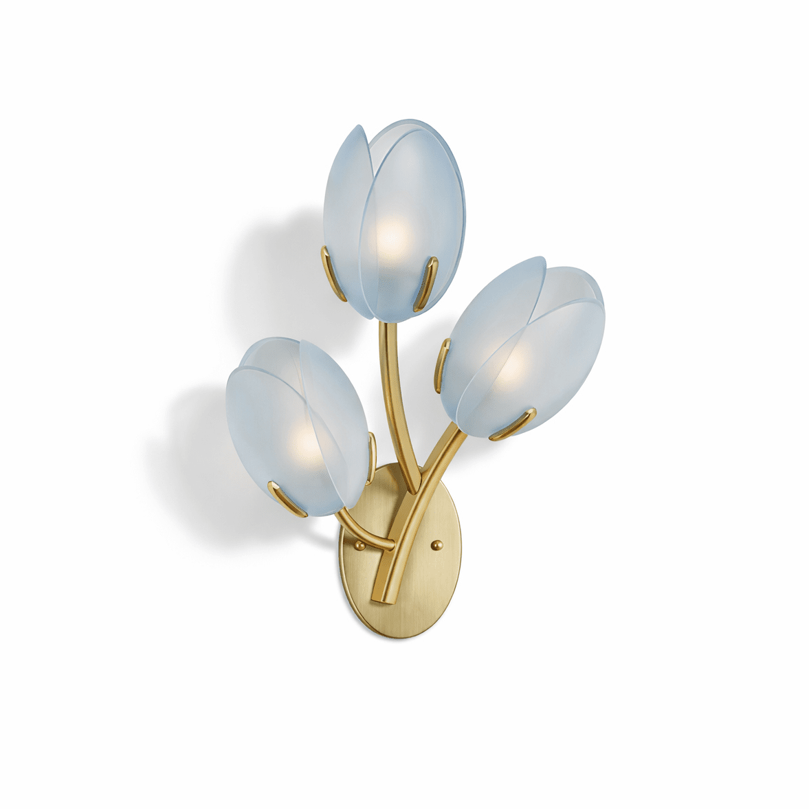 Organic Blush Pink Glass Wall Sconce With Gold Finish 16