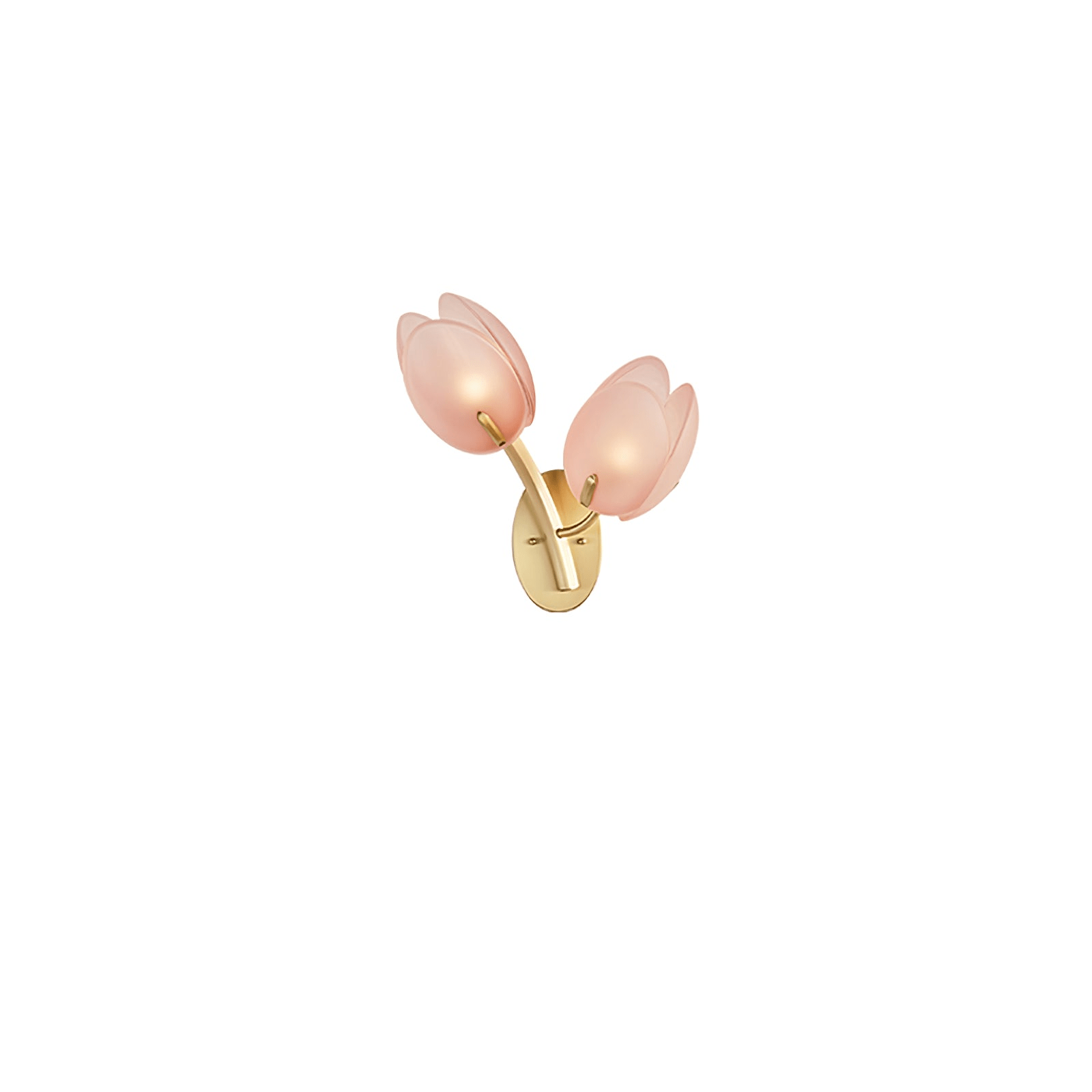 Organic Blush Pink Glass Wall Sconce With Gold Finish 17