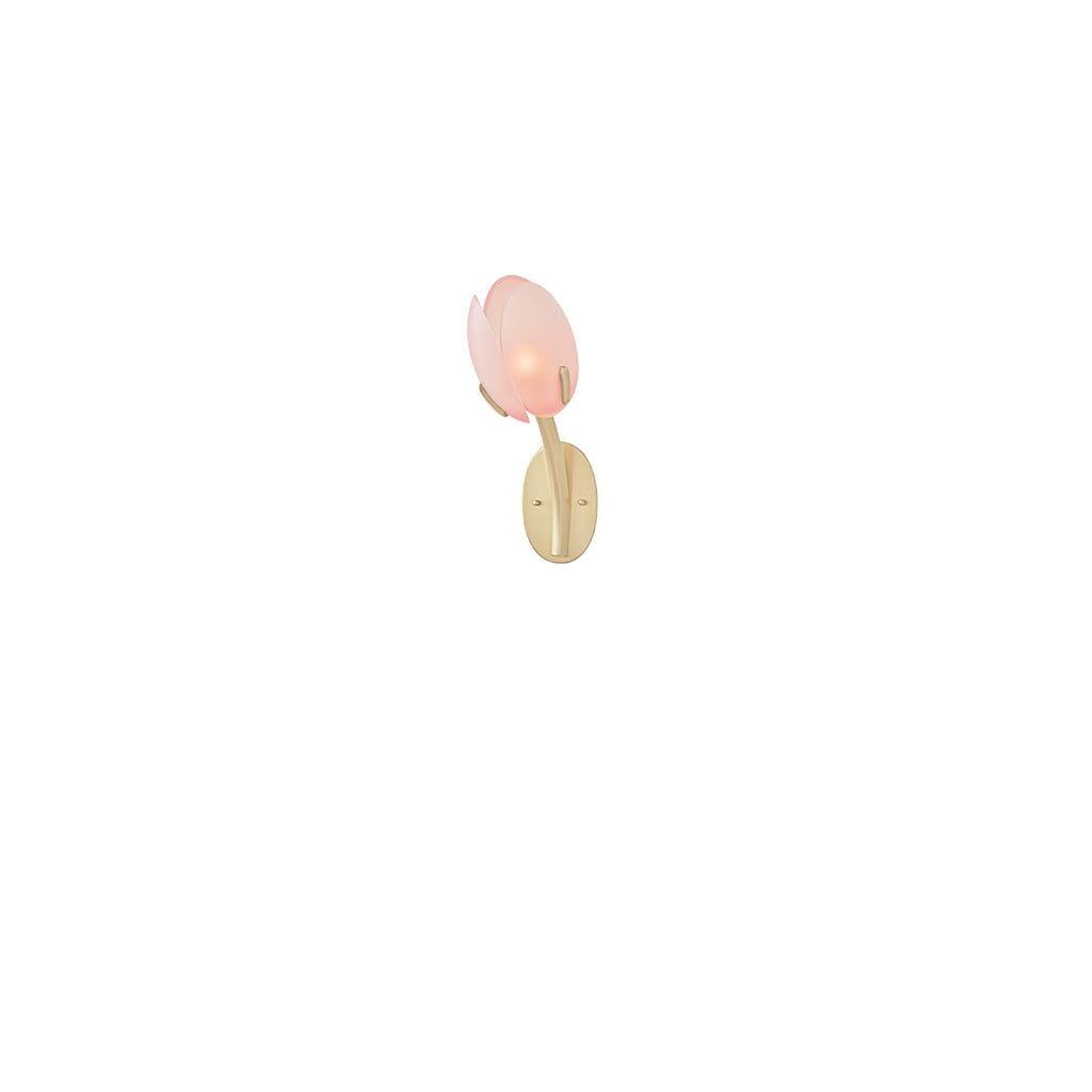 Organic Blush Pink Glass Wall Sconce With Gold Finish 9

