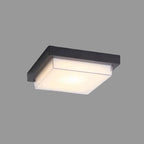 Outdoor Ceiling Light Fixture - Waterproof IP65 Exterior Ceiling Lamp for Porches and Gardens 10