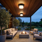 Outdoor Ceiling Light Fixture - Waterproof IP65 Exterior Ceiling Lamp for Porches and Gardens 16