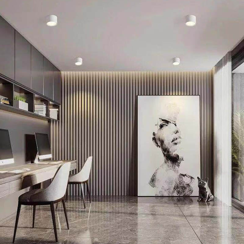 Surface Mounted LED Downlight – Adjustable Light Temperature, Black Finish, 120° Beam Angle 5