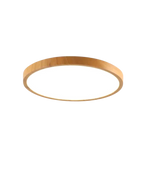 Ultra-Slim LED Ceiling Light Fixture – Modern Flush Mount Design for Elegant Illumination 1